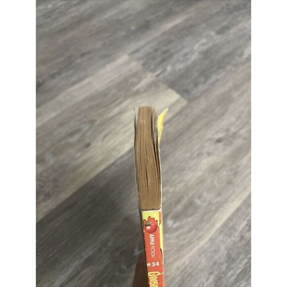 Goosebumps #34 Revenge of the Lawn Gnomes First Print Scholastic August 1995 - Picture 5 of 8